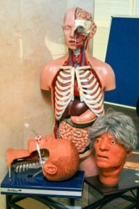 cofton medical